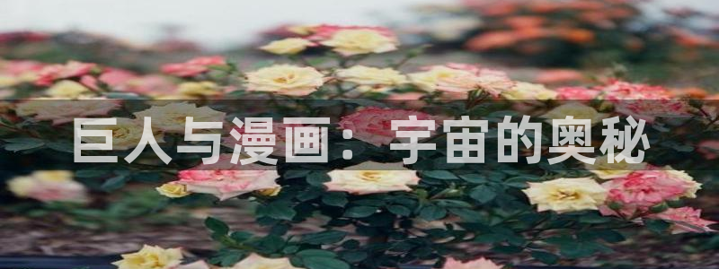 碧蓝之海包子漫画