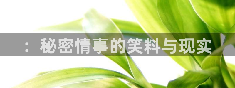 鲲吞天下漫画包子漫画